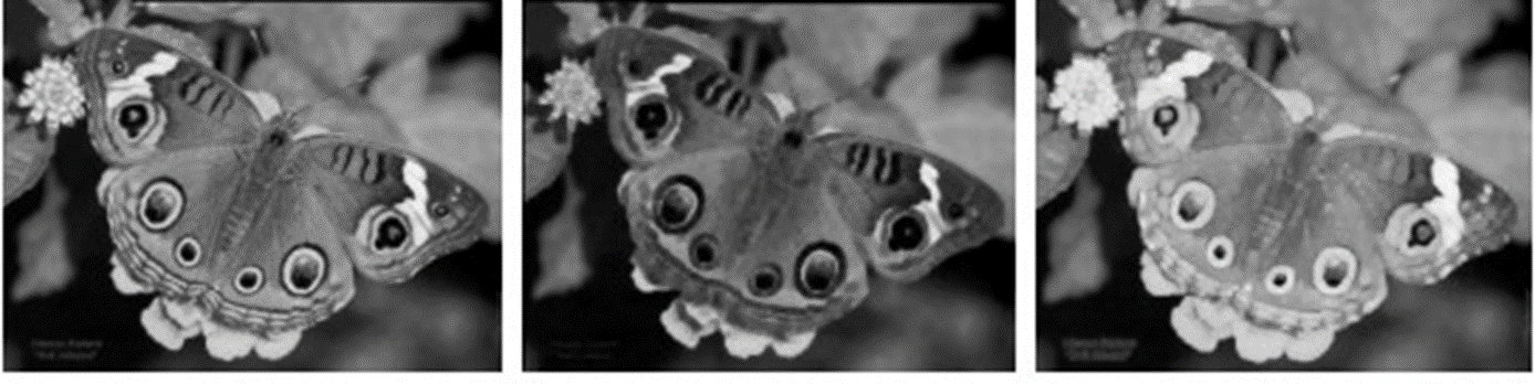 image-20230404144318359