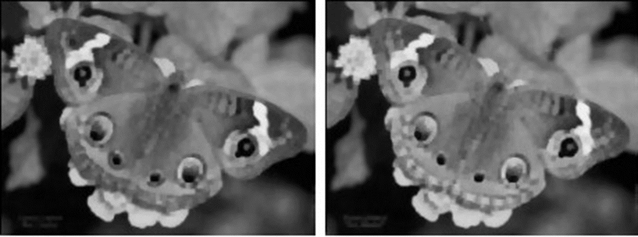 image-20230404145010183