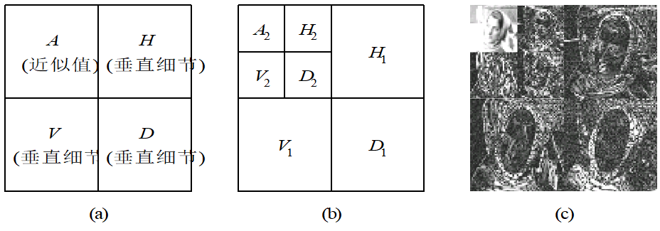 image-20230427160902436