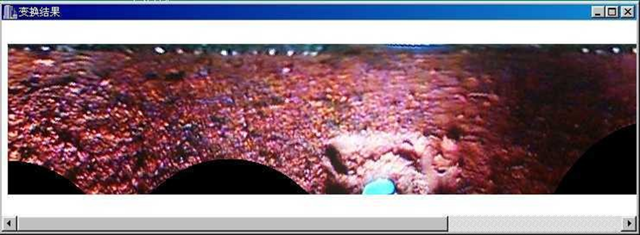 image-20230428094904309